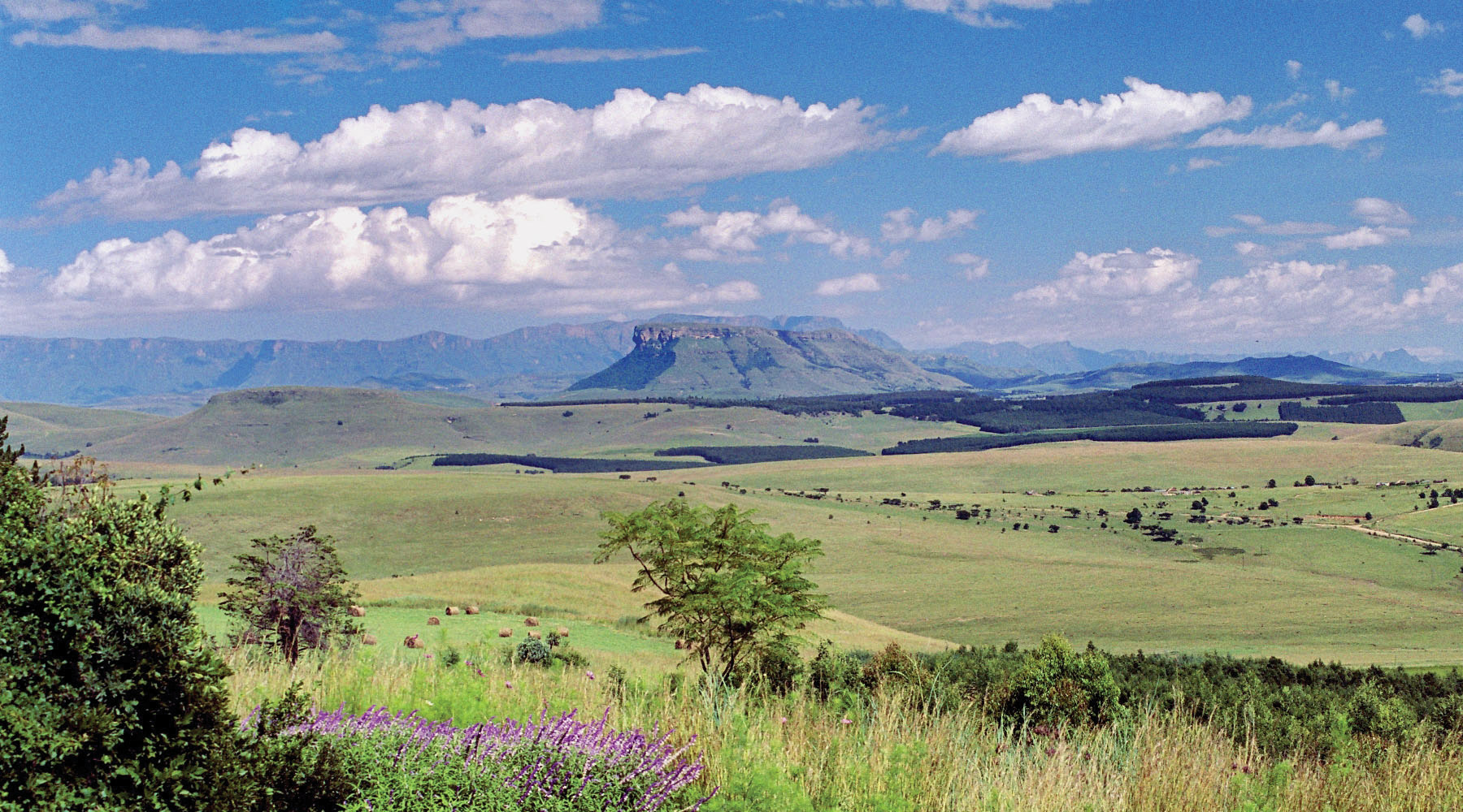 Eco-Tourism - A spectacular view of the Drakensberg Mountains from Antbear Eco Lodge